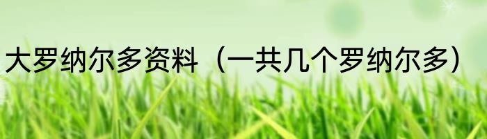 大罗纳尔多资料（一共几个罗纳尔多）