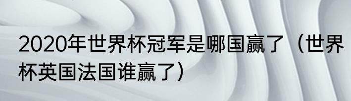 2020年世界杯冠军是哪国赢了（世界杯英国法国谁赢了）