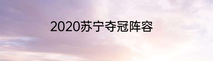 2020苏宁夺冠阵容