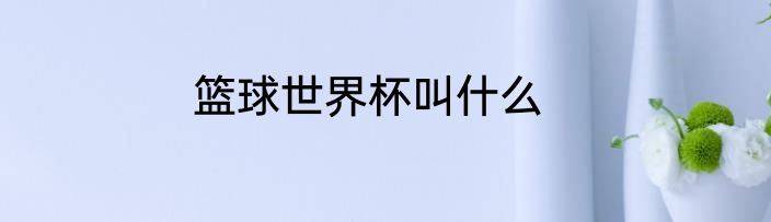 篮球世界杯叫什么