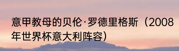 意甲教母的贝伦·罗德里格斯（2008年世界杯意大利阵容）