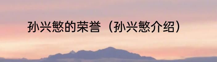 孙兴慜的荣誉（孙兴慜介绍）