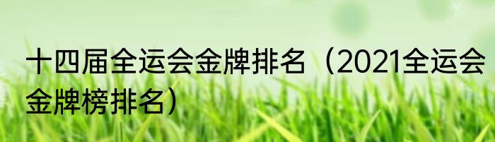 十四届全运会金牌排名（2021全运会金牌榜排名）