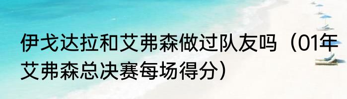 伊戈达拉和艾弗森做过队友吗（01年艾弗森总决赛每场得分）