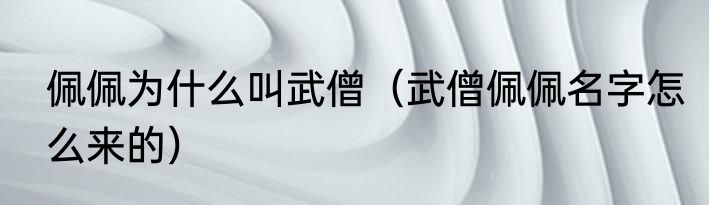 佩佩为什么叫武僧（武僧佩佩名字怎么来的）