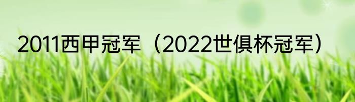 2011西甲冠军（2022世俱杯冠军）