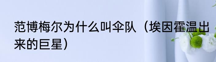范博梅尔为什么叫伞队（埃因霍温出来的巨星）