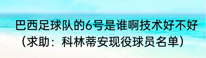巴西足球队的6号是谁啊技术好不好（求助：科林蒂安现役球员名单）