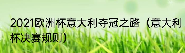 2021欧洲杯意大利夺冠之路（意大利杯决赛规则）