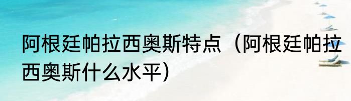 阿根廷帕拉西奥斯特点（阿根廷帕拉西奥斯什么水平）