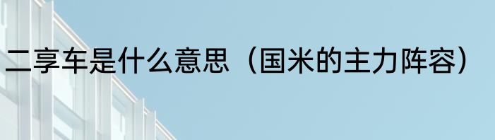 二享车是什么意思（国米的主力阵容）