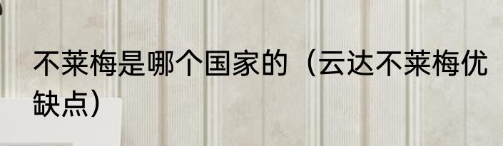 不莱梅是哪个国家的（云达不莱梅优缺点）