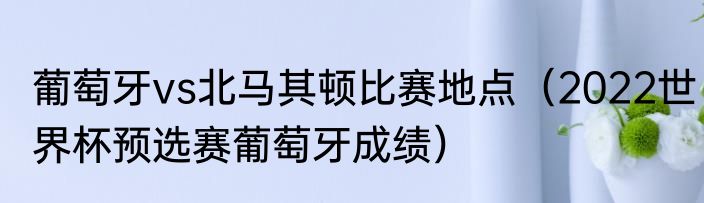 葡萄牙vs北马其顿比赛地点（2022世界杯预选赛葡萄牙成绩）