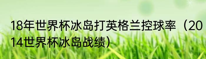 18年世界杯冰岛打英格兰控球率（2014世界杯冰岛战绩）