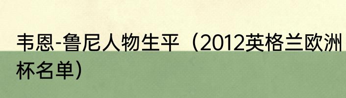 韦恩-鲁尼人物生平（2012英格兰欧洲杯名单）