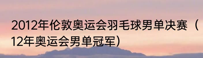 2012年伦敦奥运会羽毛球男单决赛（12年奥运会男单冠军）