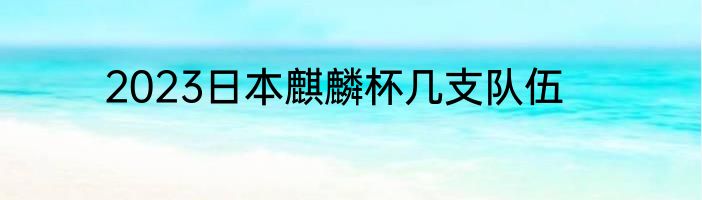 2023日本麒麟杯几支队伍