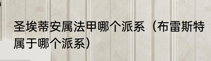 圣埃蒂安属法甲哪个派系（布雷斯特属于哪个派系）