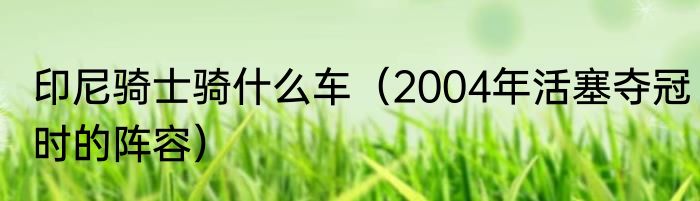 印尼骑士骑什么车（2004年活塞夺冠时的阵容）