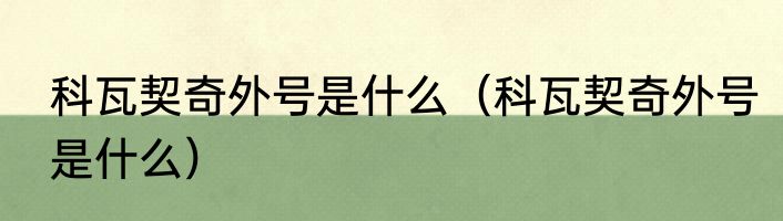 科瓦契奇外号是什么（科瓦契奇外号是什么）