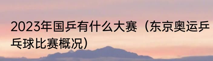 2023年国乒有什么大赛（东京奥运乒乓球比赛概况）