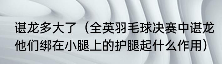 谌龙多大了（全英羽毛球决赛中谌龙他们绑在小腿上的护腿起什么作用）