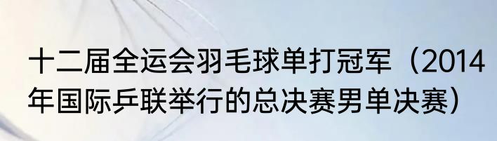 十二届全运会羽毛球单打冠军（2014年国际乒联举行的总决赛男单决赛）