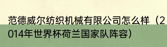 范德威尔纺织机械有限公司怎么样（2014年世界杯荷兰国家队阵容）