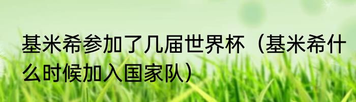 基米希参加了几届世界杯（基米希什么时候加入国家队）