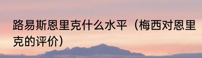 路易斯恩里克什么水平（梅西对恩里克的评价）