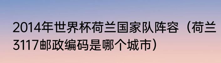 2014年世界杯荷兰国家队阵容（荷兰3117邮政编码是哪个城市）