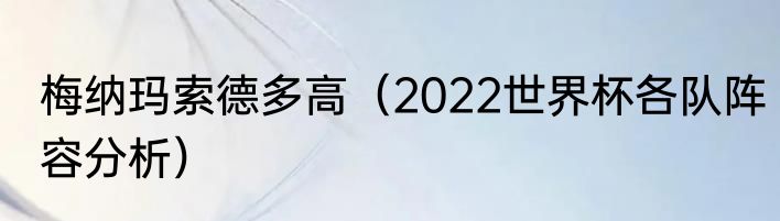 梅纳玛索德多高（2022世界杯各队阵容分析）