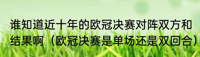 谁知道近十年的欧冠决赛对阵双方和结果啊（欧冠决赛是单场还是双回合）