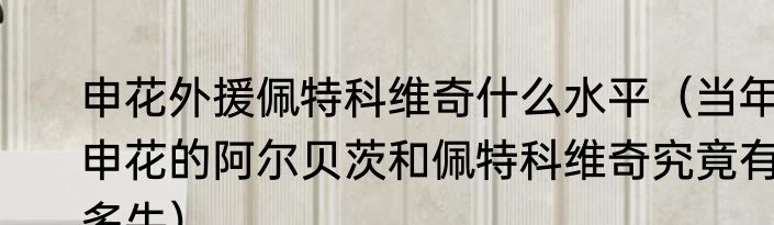 申花外援佩特科维奇什么水平（当年申花的阿尔贝茨和佩特科维奇究竟有多牛）