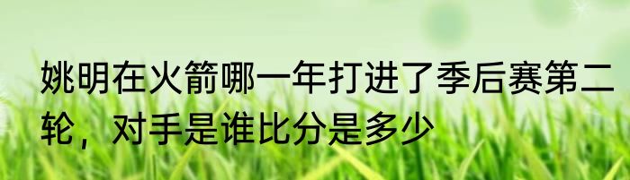 姚明在火箭哪一年打进了季后赛第二轮，对手是谁比分是多少