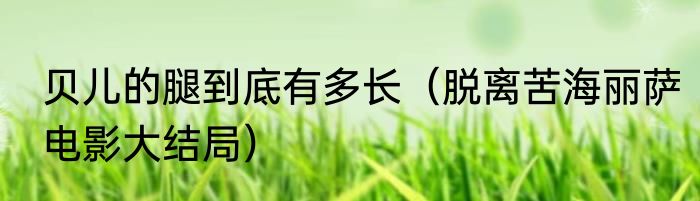 贝儿的腿到底有多长（脱离苦海丽萨电影大结局）