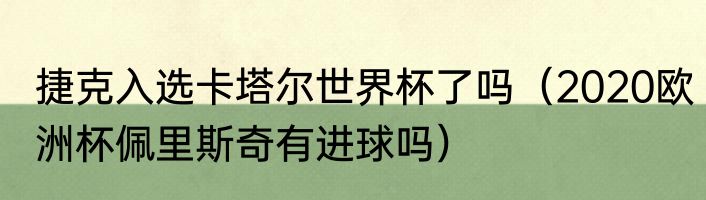 捷克入选卡塔尔世界杯了吗（2020欧洲杯佩里斯奇有进球吗）