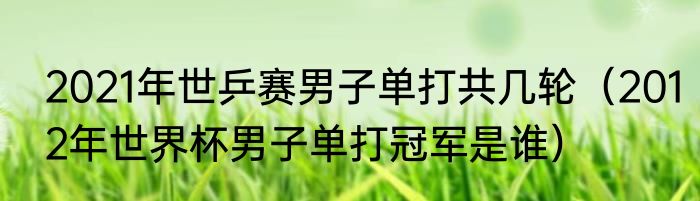 2021年世乒赛男子单打共几轮（2012年世界杯男子单打冠军是谁）
