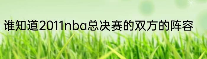 谁知道2011nba总决赛的双方的阵容