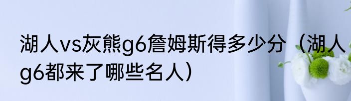 湖人vs灰熊g6詹姆斯得多少分（湖人g6都来了哪些名人）