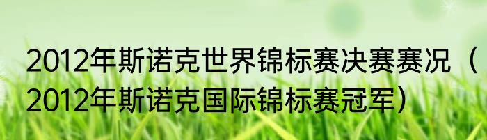 2012年斯诺克世界锦标赛决赛赛况（2012年斯诺克国际锦标赛冠军）