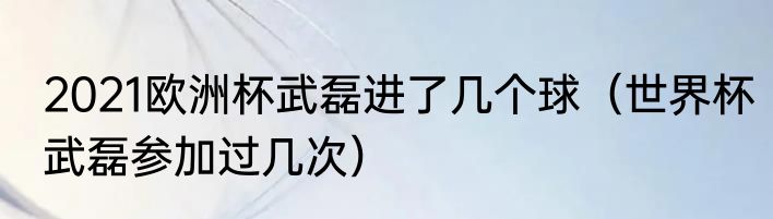 2021欧洲杯武磊进了几个球（世界杯武磊参加过几次）