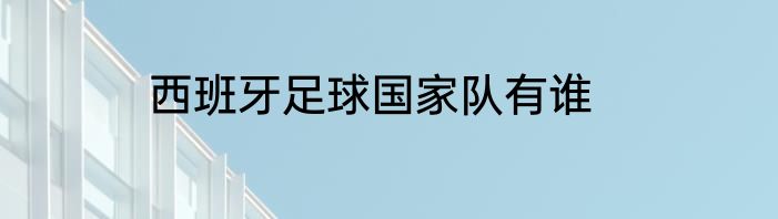 西班牙足球国家队有谁