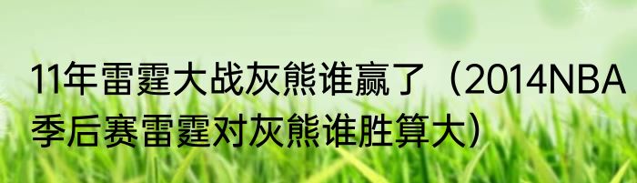 11年雷霆大战灰熊谁赢了（2014NBA季后赛雷霆对灰熊谁胜算大）