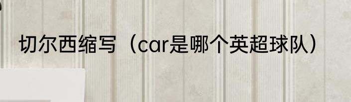 切尔西缩写（car是哪个英超球队）