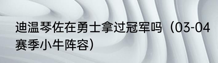 迪温琴佐在勇士拿过冠军吗（03-04赛季小牛阵容）