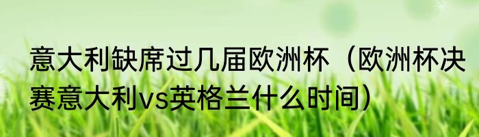 意大利缺席过几届欧洲杯（欧洲杯决赛意大利vs英格兰什么时间）