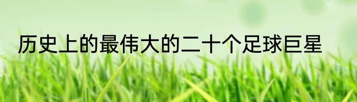 历史上的最伟大的二十个足球巨星