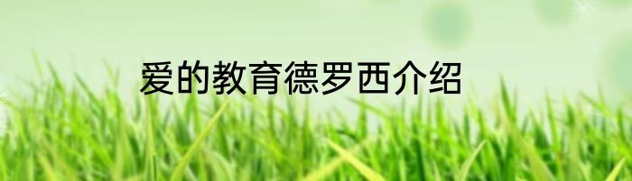 爱的教育德罗西介绍