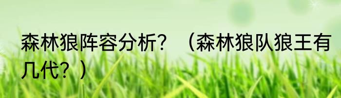 森林狼阵容分析？（森林狼队狼王有几代？）